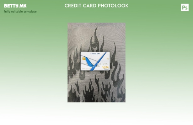 модерен стил Норвешка Парето банка виза електронска картичка photolook пред шабл